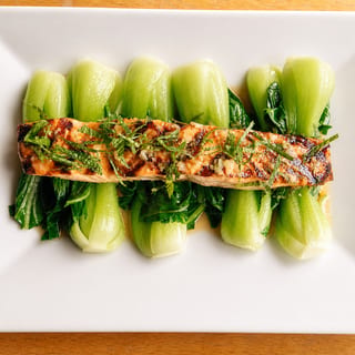 Salmon